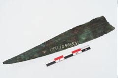 Foto von Bronzedolch (NHMW-PRAE-024459)